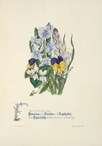 Pansies, violets, asphodel and hyacinth, Jane Elizabeth Giraud