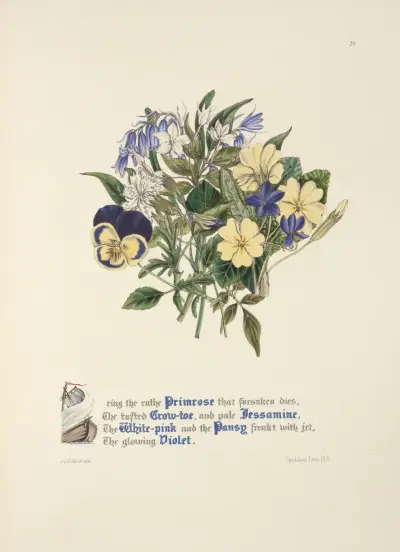 Prvosenka, vikev, jasmín. Bílo-růžová, maceška a violka, Jane Elizabeth Giraud