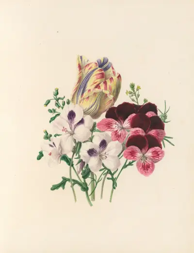 The fête of the flowers Pl.03 av Jane Elizabeth Giraud