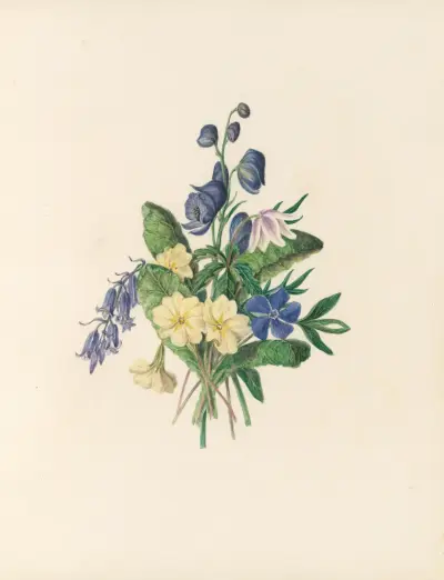 The fête of the flowers Pl.06, Jane Elizabeth Giraud