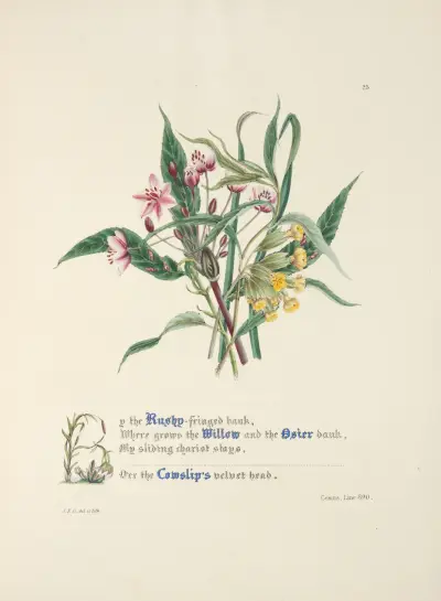 Uppför den sävomkransade stranden, Jane Elizabeth Giraud