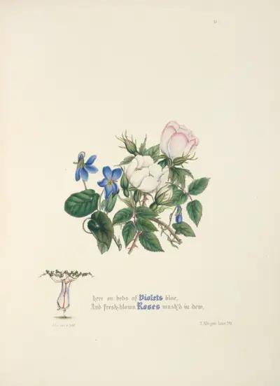 Violky a růže, Jane Elizabeth Giraud