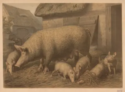 Pig av Emil Schmidt