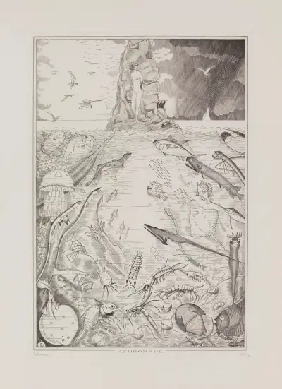 Andromeda von Jean-Émile Laboureur