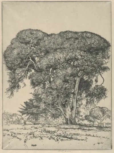 Cemetery Live Oak av Ernest Haskell