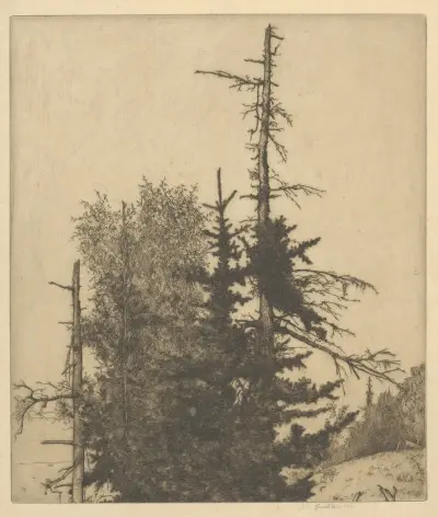Dead Tops av Ernest Haskell