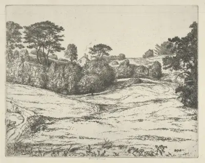 Dromore Vale av Ernest Haskell