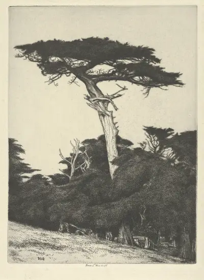 Dryad’s Parasol av Ernest Haskell