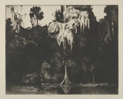 Ghost Cypress av Ernest Haskell