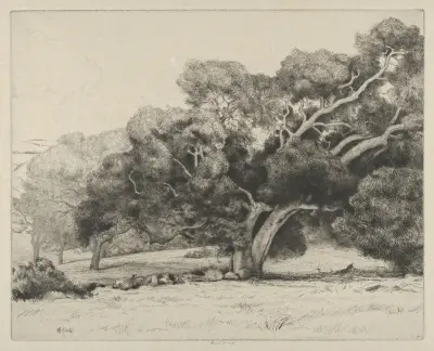 Large Live Oak av Ernest Haskell