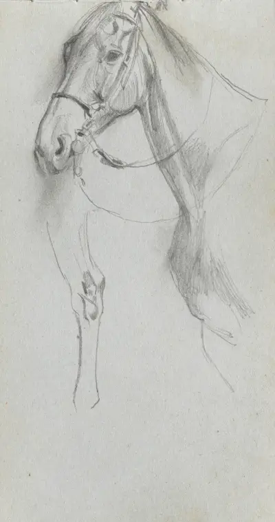 Studium konia, Ernest Meissonier