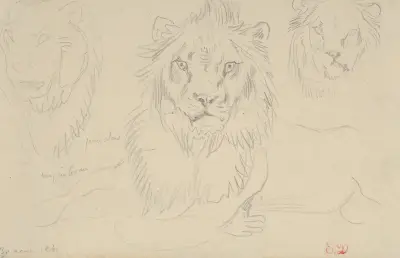Ein Löwe, von vorn von Eugène Delacroix