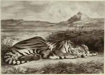 Královský tygr, 1829 – Nr. 2, Eugène Delacroix