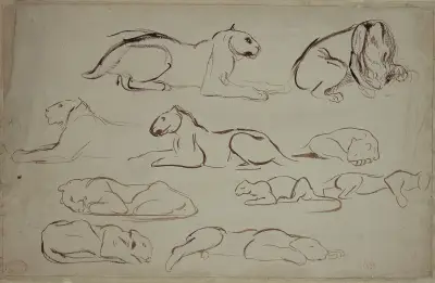 Studienblatt mit Löwen und Tigern av Eugène Delacroix