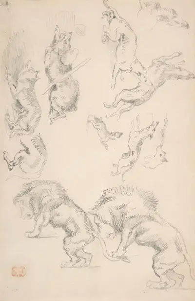 Studie zvířat, Eugène Delacroix