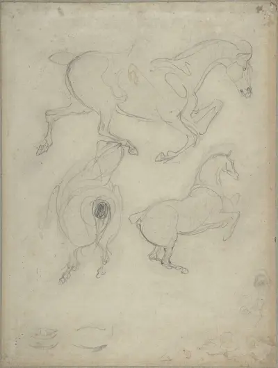 Studies of Horses av Eugène Delacroix