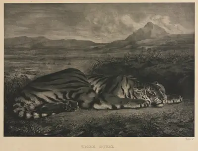 Královský tygr, Eugène Delacroix