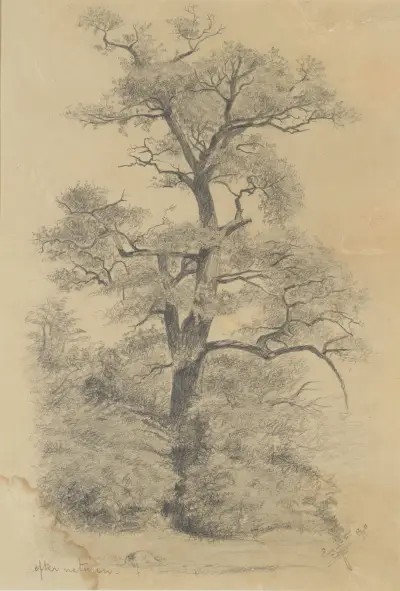 From Nature, Eugène Jansson