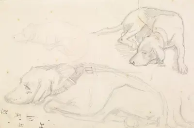 Trzy studia śpiącego psa, Sir John Everett Millais