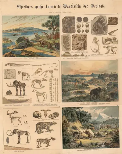 Animal and plant life (1885 (2)), 1885 – nr 2 av J.F. Schreiber