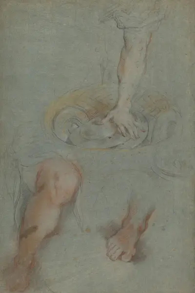 Studies for a Servant in ‘The Last Supper’ av Federico Barocci