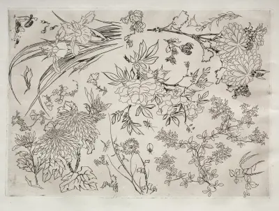 Dinner Service (Rousseau service); Flowers (no. 23), 1866 – nr 2 av Félix Bracquemond