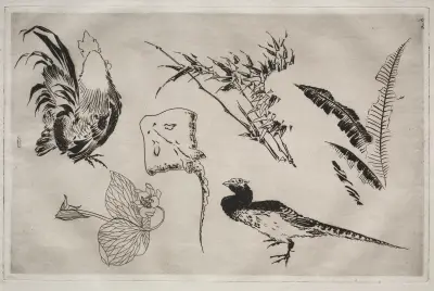Dinner Service (Rousseau service); Roosters, skate, plants, etc. (no. 9) av Félix Bracquemond