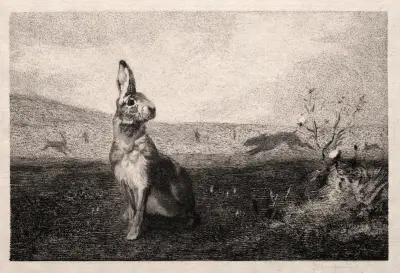 The Hare (after A. de Balleroy) av Félix Bracquemond