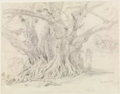 Baumstudie av Ferdinand Keller
