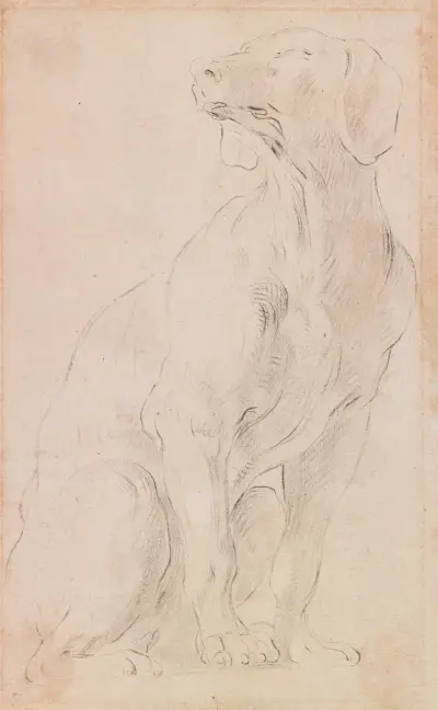 Seated Dog av Francesco Solimena