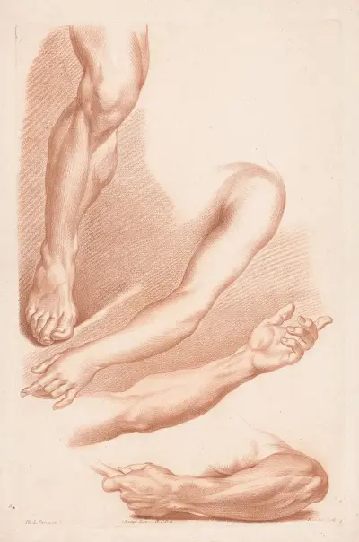 Verschiedene Ansichten eines Beins und von Armen von Louis-François Roubiliac