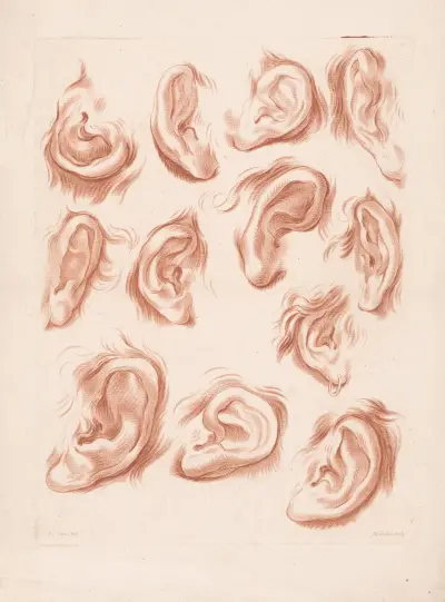 Zwölf verschiedene Ohren von Louis-François Roubiliac