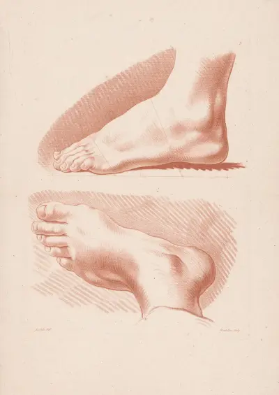 Zwei Füße, 1749 – Nr. 2 von Louis-François Roubiliac