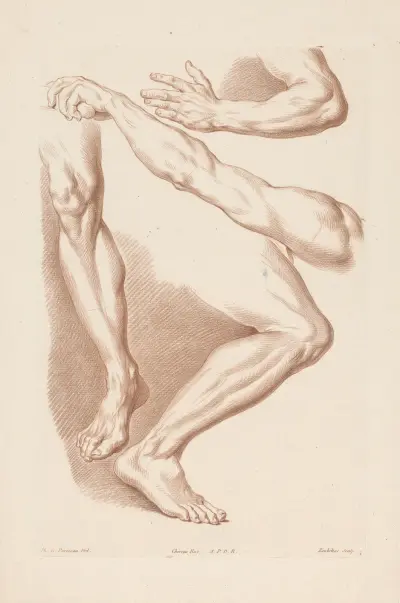 Zwei Beine und zwei Arme von Louis-François Roubiliac