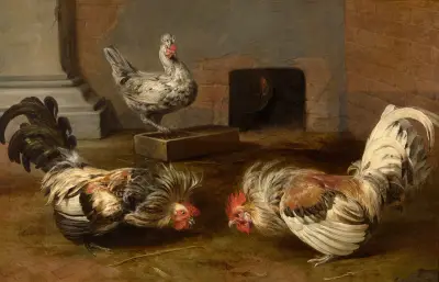 Bojující kohouti, Frans Snyders