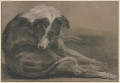 Greyhound, lying av Frans Snyders