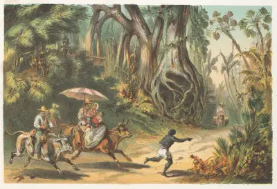 Die Umgebung von Baracoa von Pierre Toussaint Frédéric Mialhe