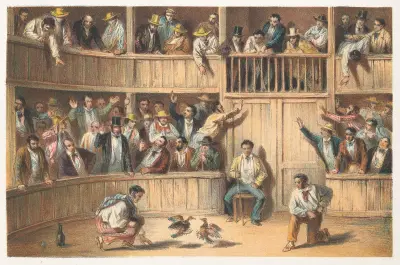 Hahnenkampf von Pierre Toussaint Frédéric Mialhe