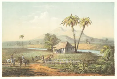 Blick auf ein Tabakfeld von Pierre Toussaint Frédéric Mialhe