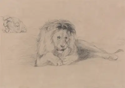 Studie eines Löwen und Studie eines Löwenkopfes von John Frederick Lewis