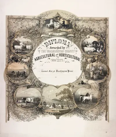Diplom der Washington County Agricultural and Horticultural Society von James Fuller Queen