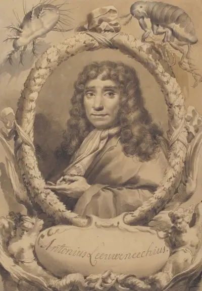 Holenderski mikroskopista Anton van Leeuwenhoek, Gaetano Gandolfi
