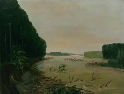 View On The Missouri, Alluvial Banks Falling In, 600 Miles Above St. Louis von George Catlin
