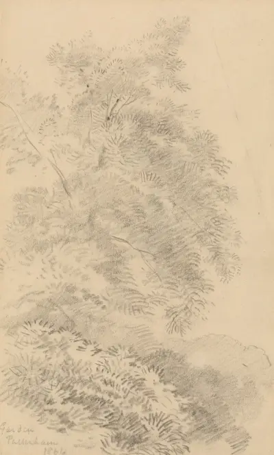 Study of a Tree on a Grassy Bank av George Richmond