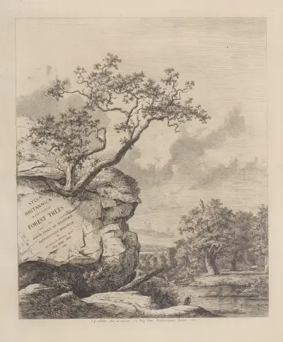 Frontispiece av Jacob George Strutt