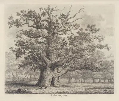 Sir Philip Sidney’s Oak av Jacob George Strutt