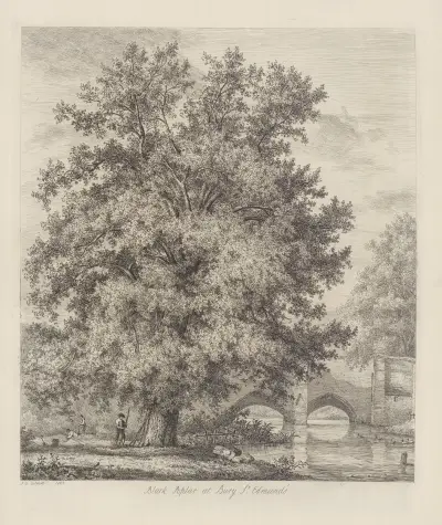 The Black Poplar at Bury St. Edmund’s av Jacob George Strutt