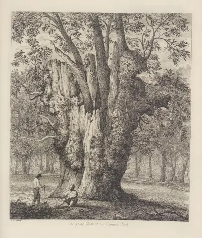 The Chesnut Tree Called The Four Sisters av Jacob George Strutt