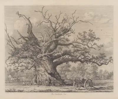 The Cowthorpe Oak av Jacob George Strutt