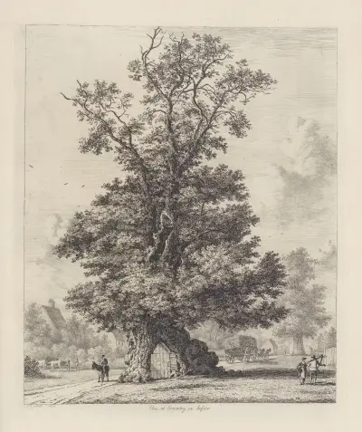 The Crawley Elm av Jacob George Strutt